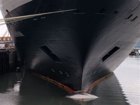 Cruise ship arrives in Seward with dead endangered whale draped against ...