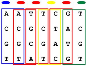 Image result for Solid Sequencing Explained