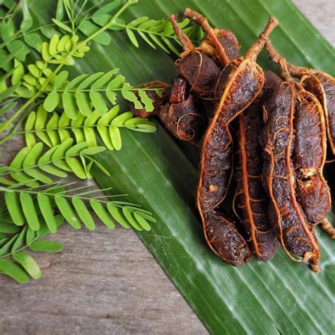 What Does Tamarind Taste Like? - MOON and spoon and yum