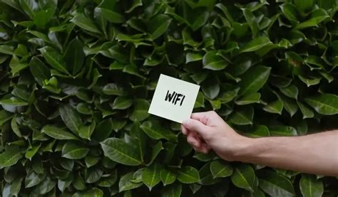 Raspberry Pi Programming Examples Access Point 的图像结果