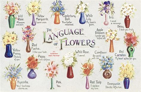 Image result for Flower Sign Language