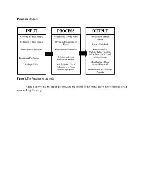 Image result for Research Paradigm Input Process Output
