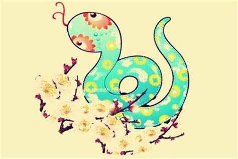 海南省蛇类图鉴 - 蟒蛇科普