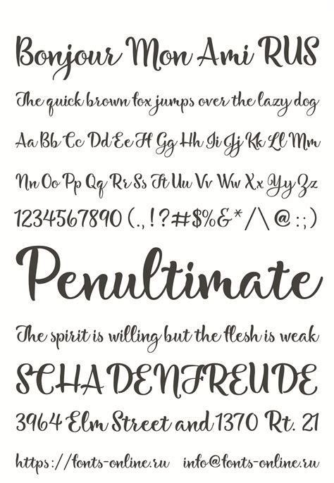 Bonjour Mon Ami RUS font