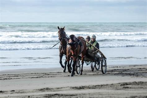 Rezultat imagine pentru Humorous Interviews