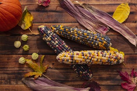 Honoring Indigenous Peoples This Thanksgiving