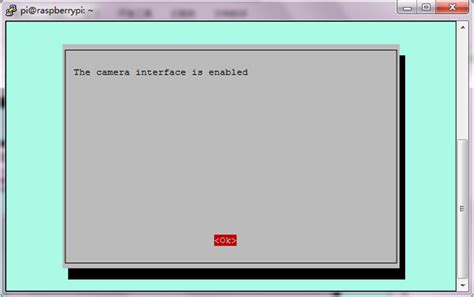 Test Camera Raspberry Pi 的图像结果