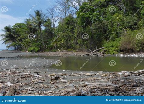 Coast Near Carate in Corcovado National Park Near Puerto Jimenez on ...