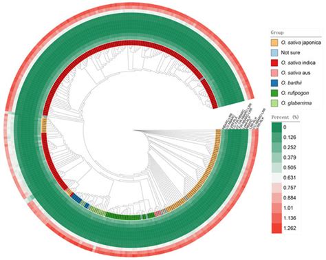 RiceReceptor: The Cell-Surface and Intracellular Immune Receptors of ...