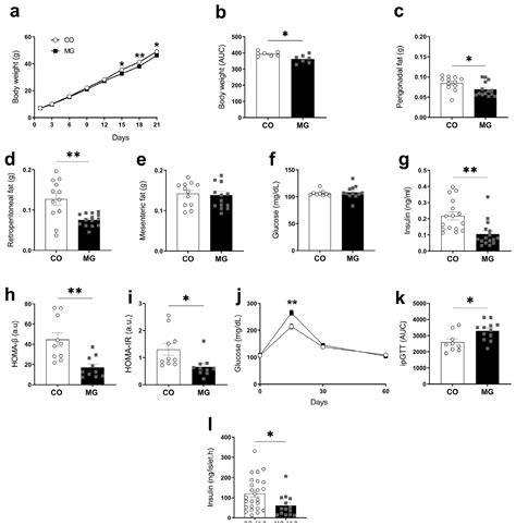 Maternal AGE Precursors During Lactation Alters Offspring Glycemic ...