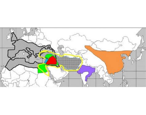 World History Map Interactive 的图像结果