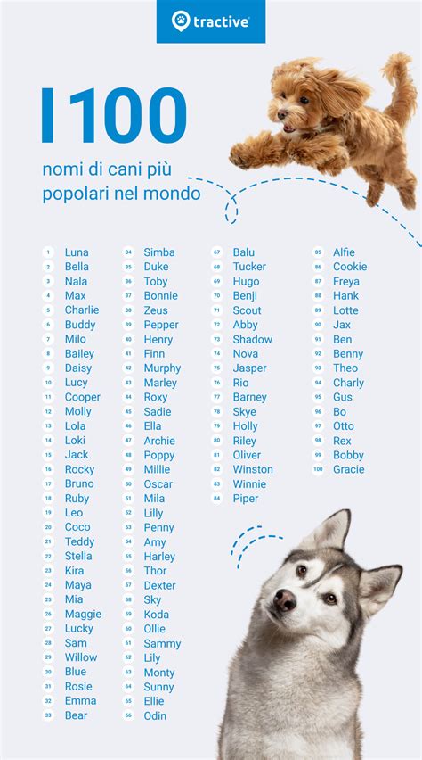 I nomi di cani più popolari in Italia e nel mondo - Tractive