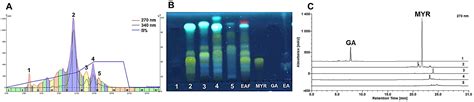Influence of Major Polyphenols on the Anti-Candida Activity of Eugenia ...