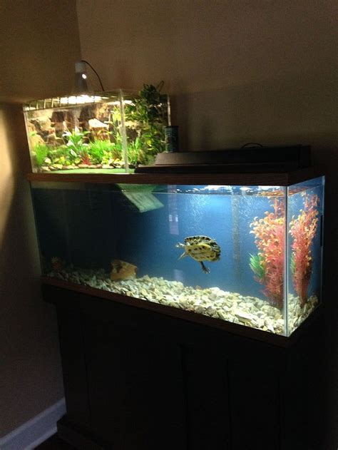 Awesome fish tank ideas 33 | Turtle habitat, Aquatic turtle habitat ...