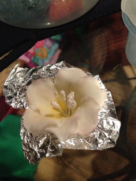 Fondant Hibiscus Flower Tutorial 的图像结果