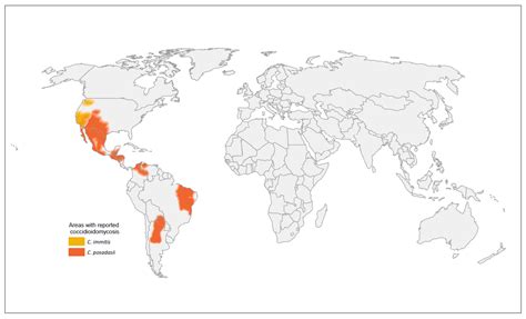 Update on the Epidemiology, Diagnosis, and Treatment of Coccidioidomycosis