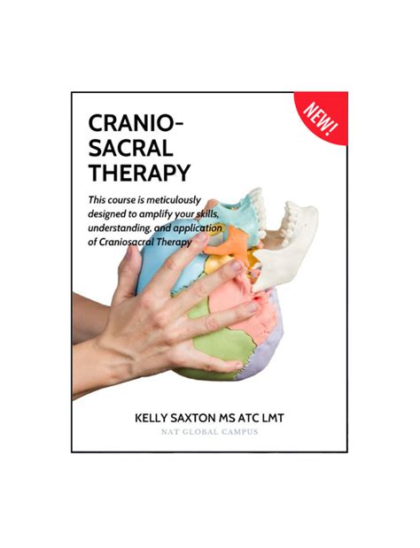 Cranio Sacral Therapy | Niel Asher Education