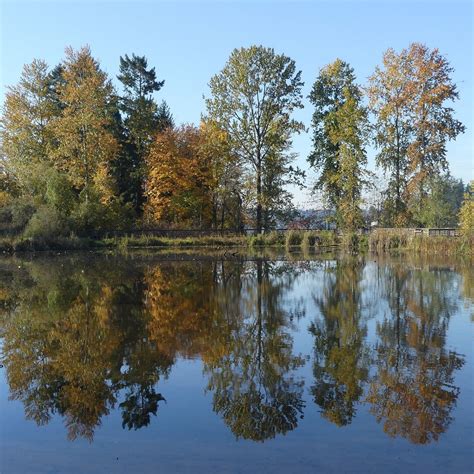 Juanita Bay Park (Kirkland): All You Need to Know BEFORE You Go