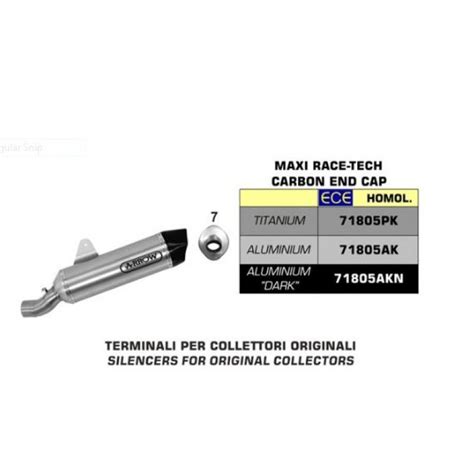 Arrow Aluminium Maxi Race-Tech End Cap Silencer For Bmw R 1250 Gs 2019 ...