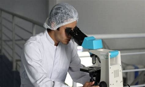 Immune cells found to boost cancer treatment in acute myeloid leukemia ...