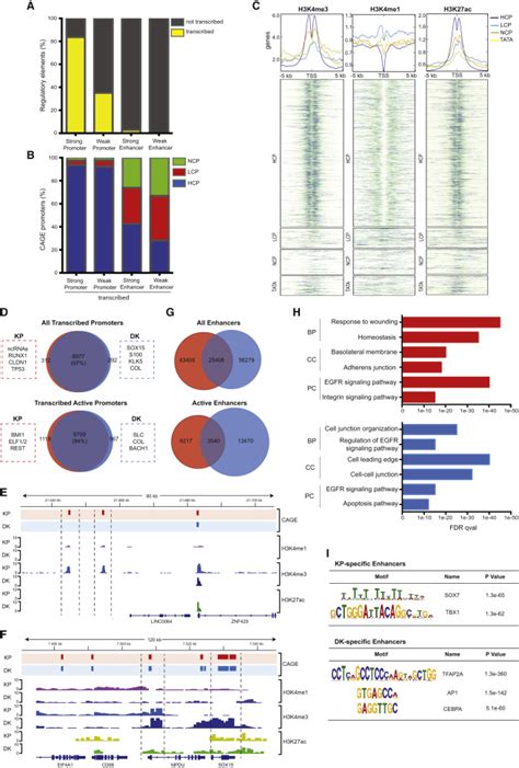 Promoter Region Models 的图像结果