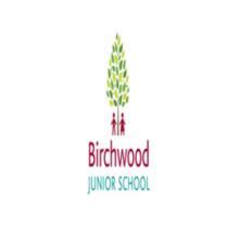 Birchwood-Junior-School-Logo Custom Women's Full Sleeves T-Shirt India