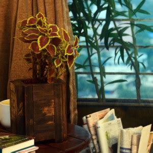 Point of Hue Handmade Wooden Planter Box Plant Container Set Price in ...