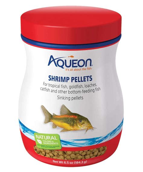 Explore Types of Corydoras Catfish Varieties