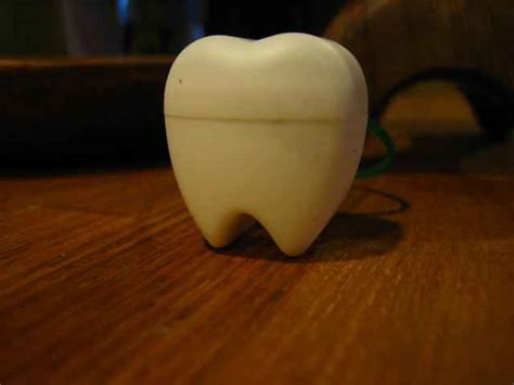 牙齿的结构 - Εκπαιδευτικές δραστηριότητες