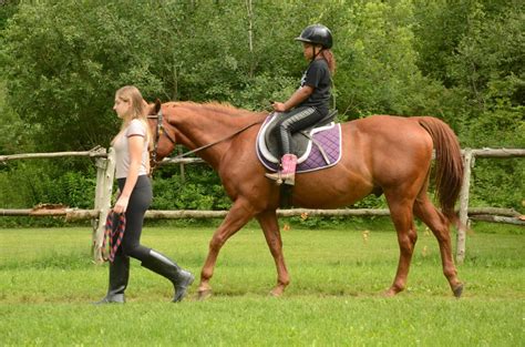 Image result for Beginner First Riding Lesson