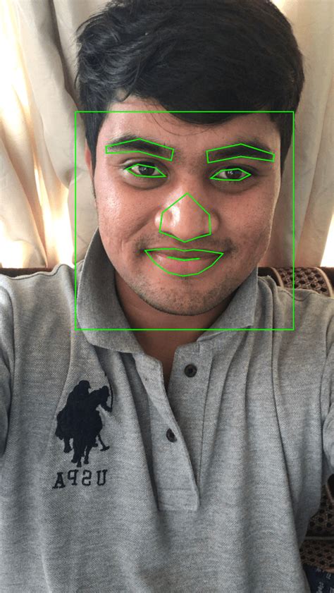 Face Detection Tutorial 的图像结果