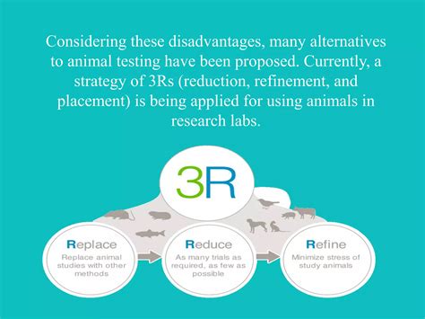 Alternatives to Animal Testing | PPTX