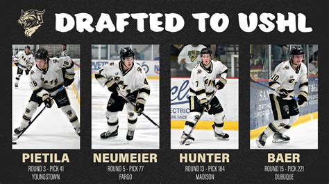 Four Bobcats Selected in USHL Draft - BISMARCK BOBCATS