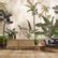 Sayonee, Nature Theme Wallpaper for Walls | Life n Colors