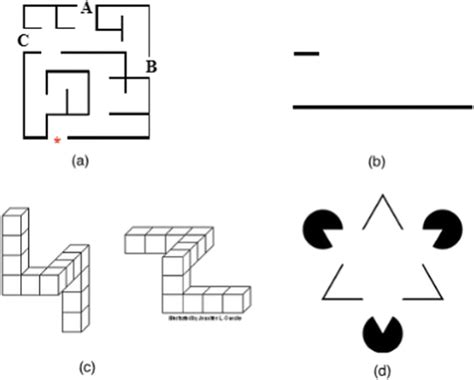 Image result for Visual Perception Examples