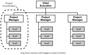 Project Organizational Structure 的图像结果
