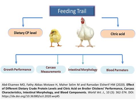 Volume 10 : Issue 3, September 2020