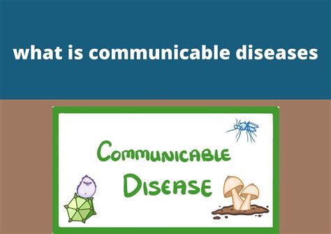 What Is Communicable Diseases » My Vision Of Health