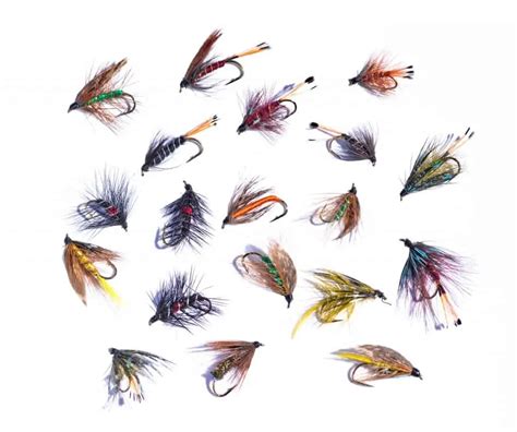 Image result for Trout Fly Patterns Free