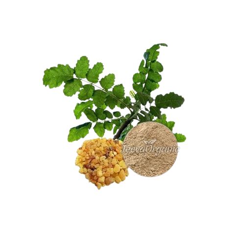 Bulk Herbal Extracts Supplier – Page 2