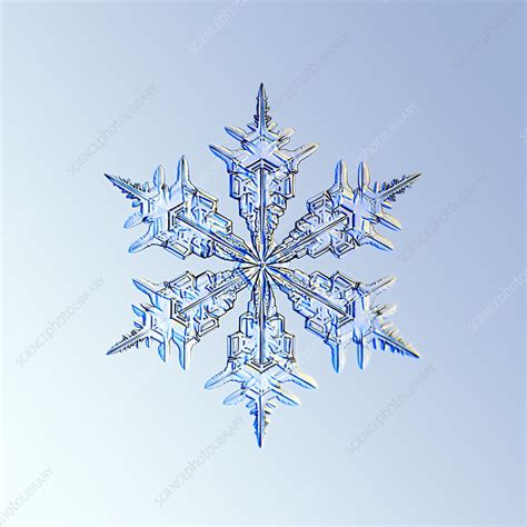 Snowflake Data-Modeling 的图像结果