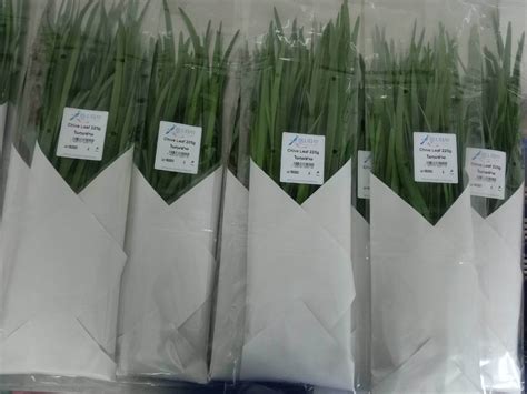Premier Chive Leaf Exporter. BlueJay Oriental foods Thailand