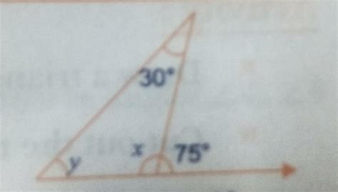 find the measures of x and y - Brainly.in