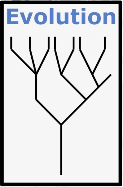 Image result for Evolution Program Computer Icon