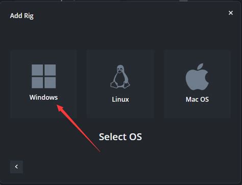 HiveOS Tutorial 的图像结果