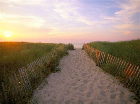 Cape Cod Beach 的图像结果