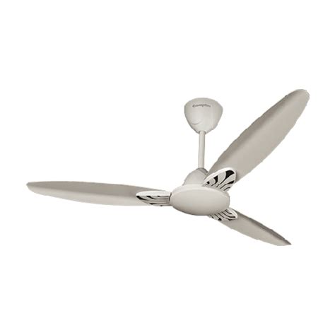 Crompton Senoprime Ceiling Fan 1200 mm Wholesale Price Online | iRely ...