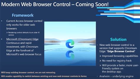 MS Access Edge Browser Control VBA 的图像结果