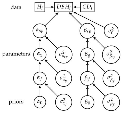 A Comparative Assessment of the Performance of Individual Tree Crowns ...