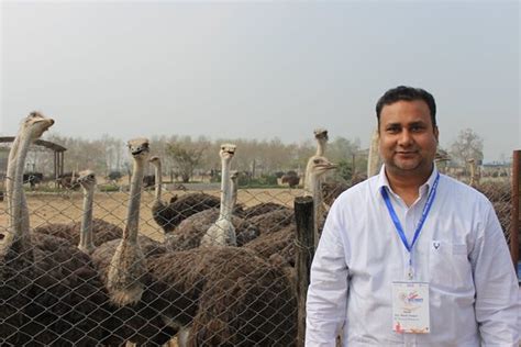 THE BEST Honeymoon Hotels in Butwal (with Prices) - Tripadvisor